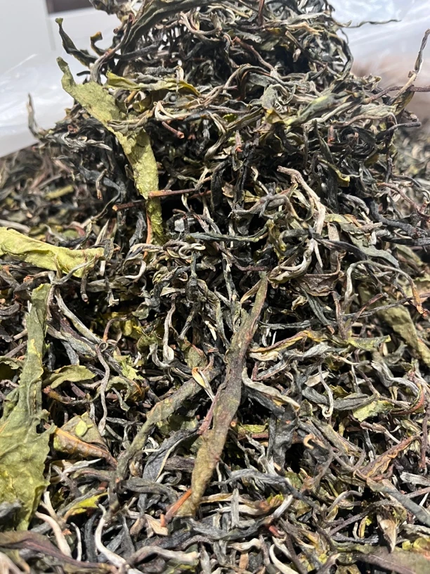 破店之天越普洱-2025年小荒田古树混采-300g