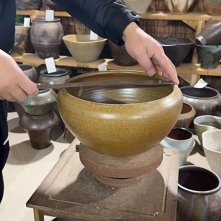 无孔花盆高15/24环境你们