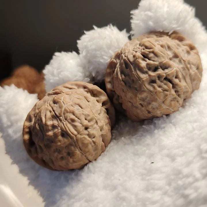 文玩核桃吊坠南瓜墩