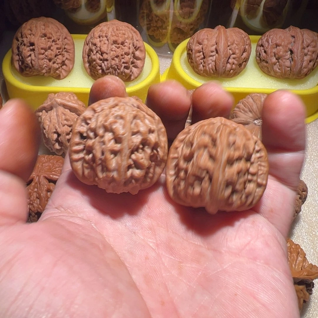 把件文玩核桃35白狮子