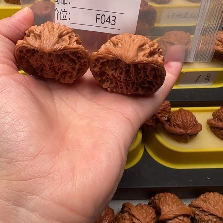 正***气吊坠文玩核桃蛇王蛇王蛇王44