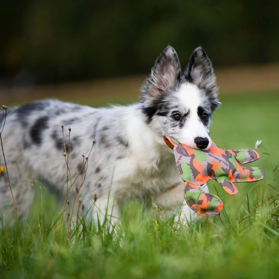 德国MajorDog狗狗宠物玩具德国特固加密耐咬牛津布料发声布狗批发