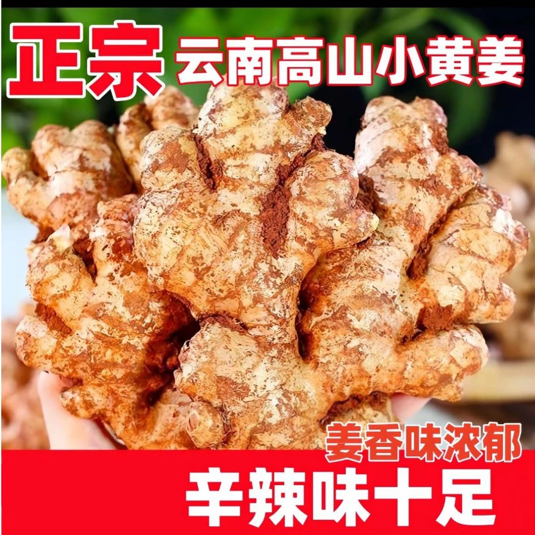 正宗云南小黄姜新鲜现挖香辣十足老姜可做月子姜整箱带泥保鲜发货