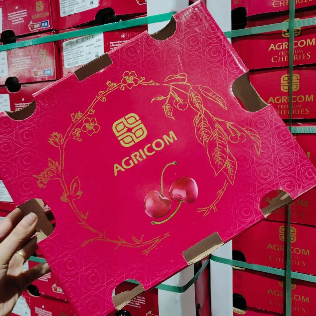 田字格3JD智利海运车厘子5斤装智利