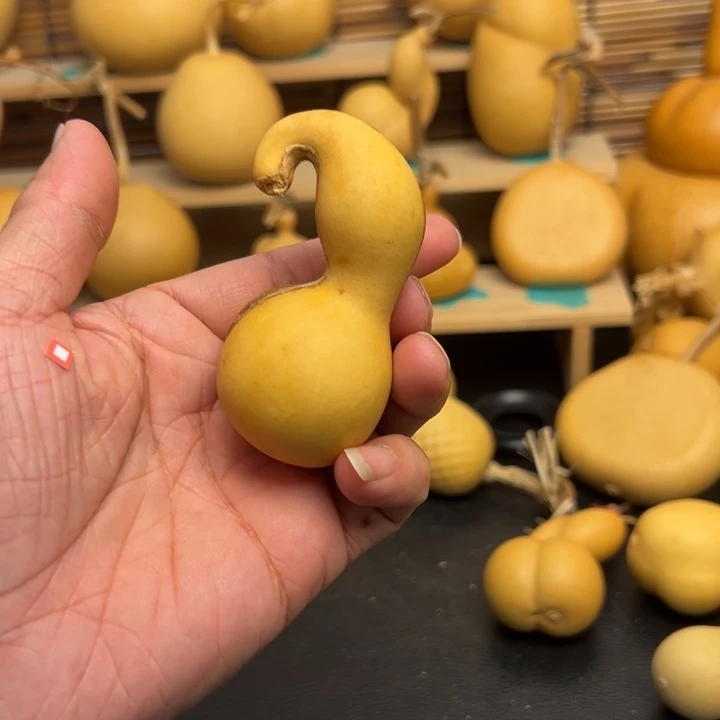 ?**೨566666666988999999