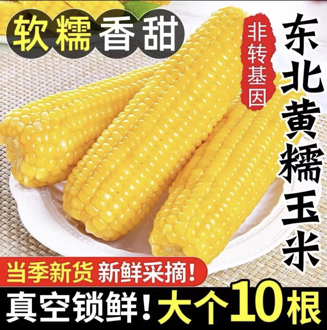 【整箱6斤】东北新鲜香甜黄糯玉米独立真空包装10根