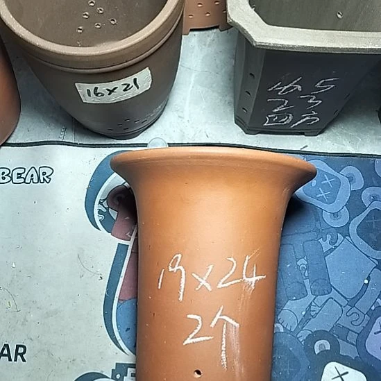 大红兰花两个花盆