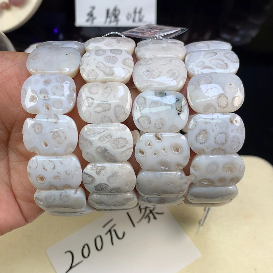 【闪购商品】颈饰未镶嵌硅化珊瑚（珊瑚玉）25号上新共生200一条