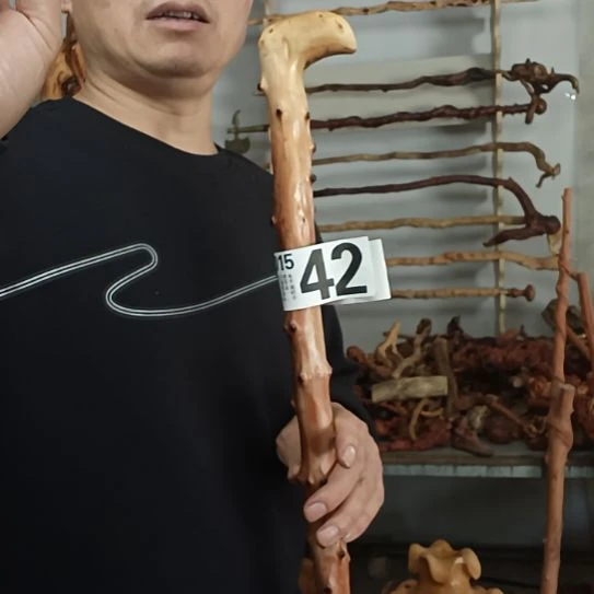 志***节香榧木高山 檬子木文玩料