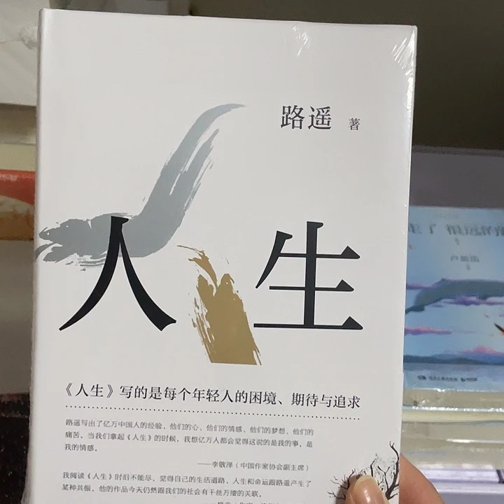 人生   精装带塑封