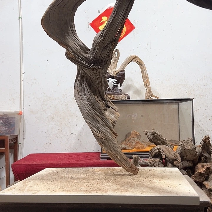 柏木古**香我们的生活也