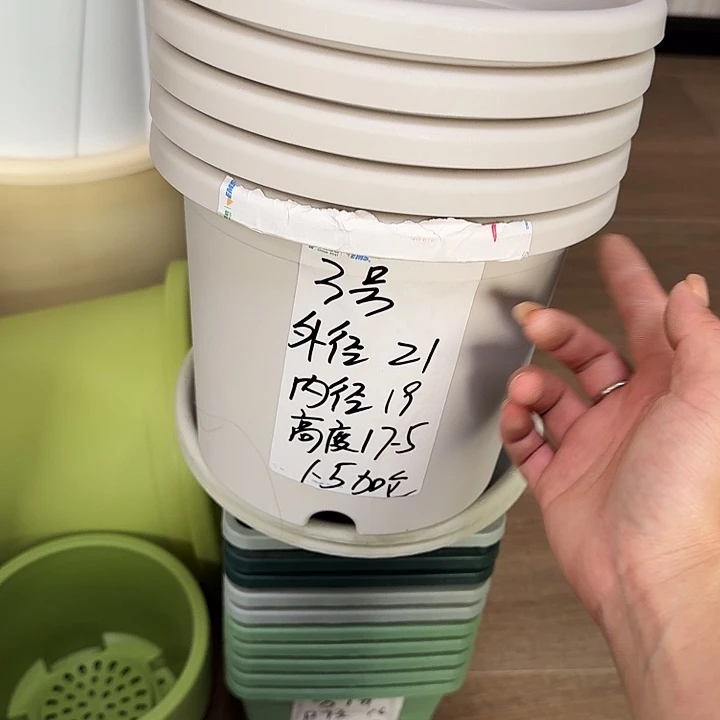 微瑕3#灰白10个无托
