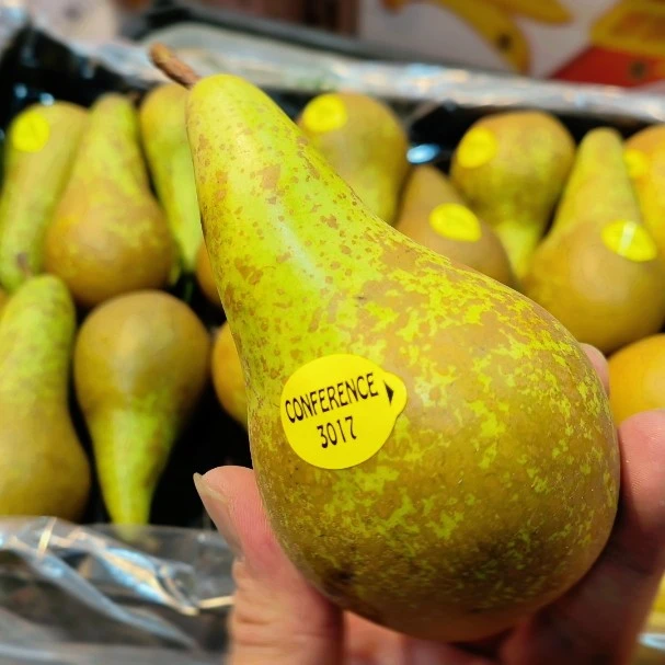 比利时啤梨 软嫩香甜