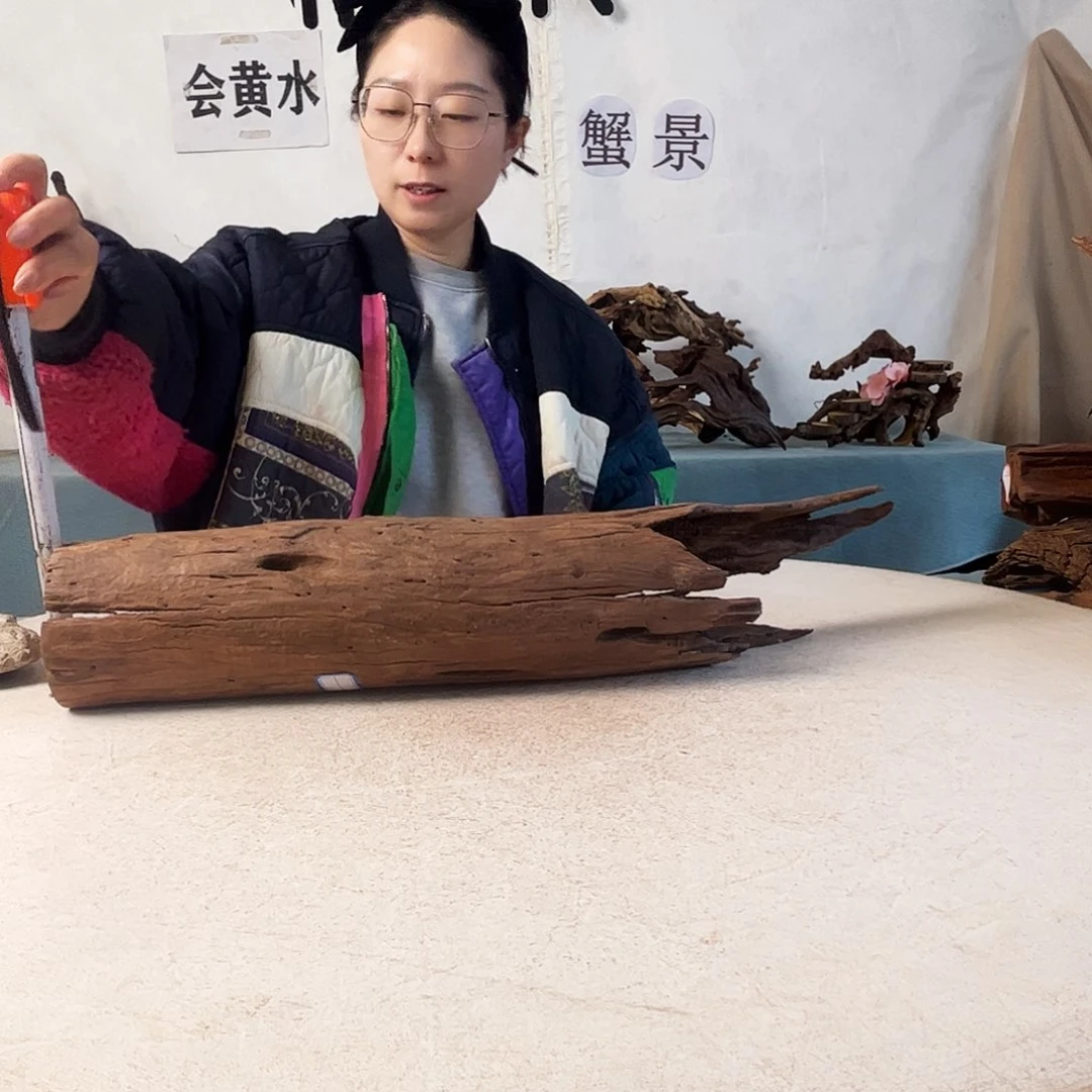 沉木造景爬宠造景