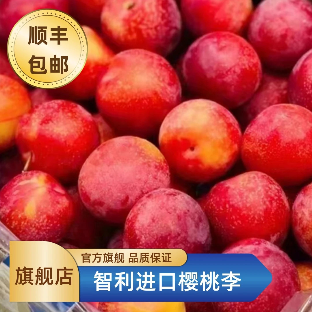 【直播浮力】当季限定cherryplum智利进口樱桃李2斤/5斤原箱3J