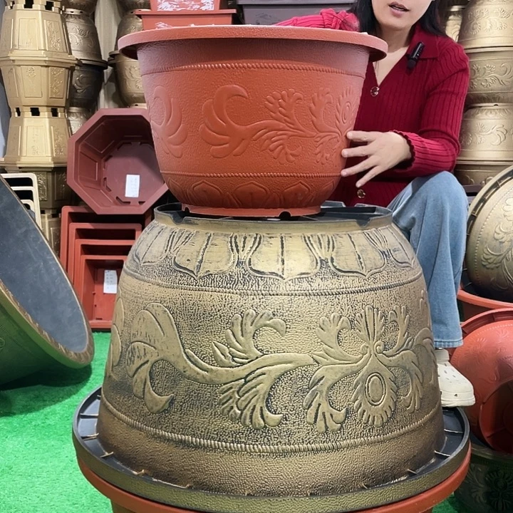 圆盆红色五零两个