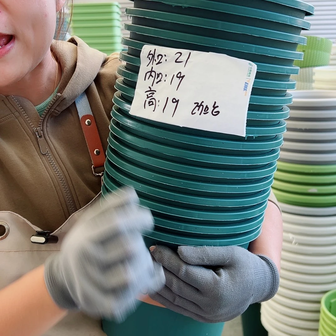 瑕疵2加仑墨绿色10个无托