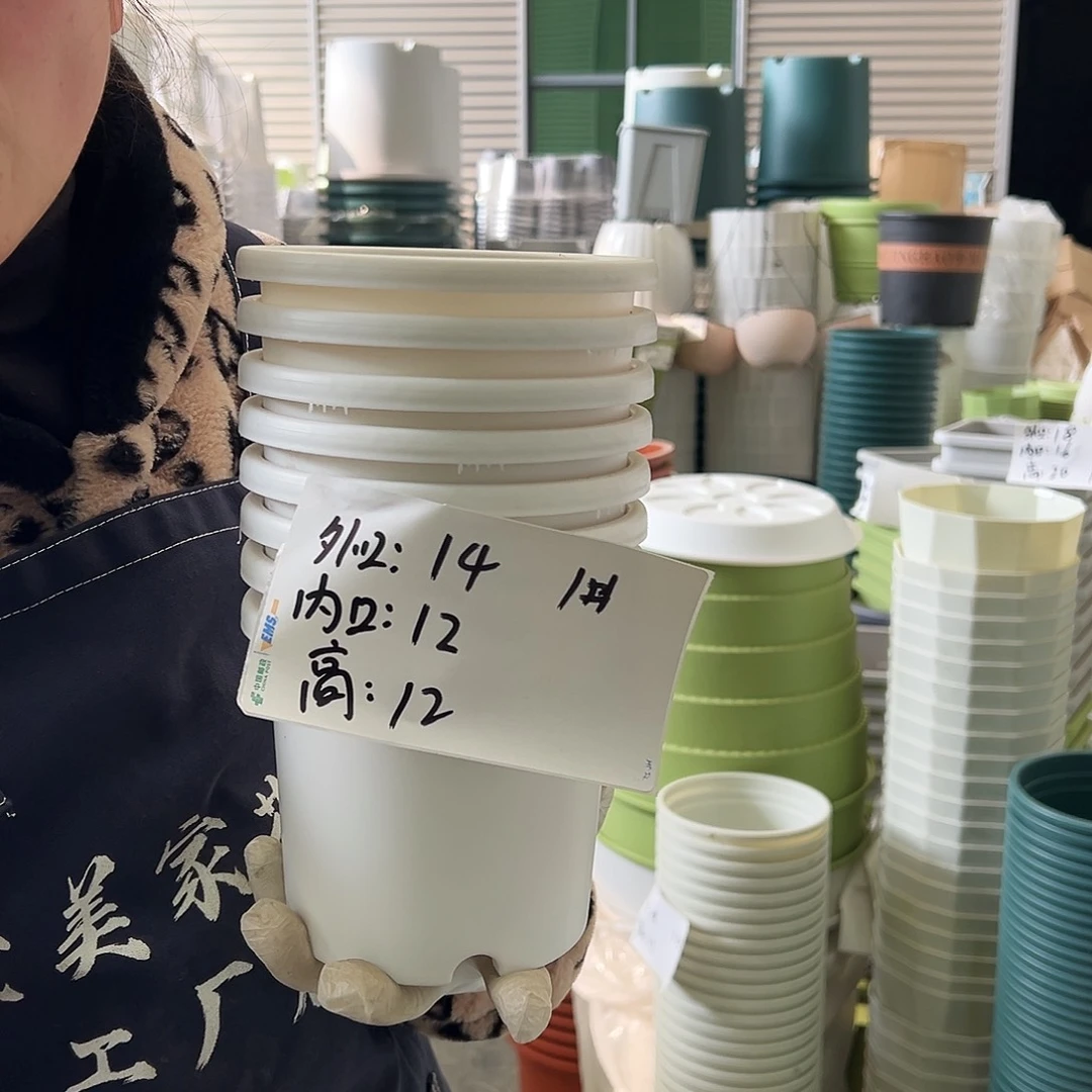 瑕疵四季盆1#白色12个无托