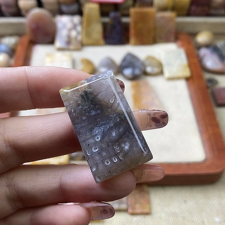 硅化珊瑚（珊瑚玉）未镶嵌颈饰