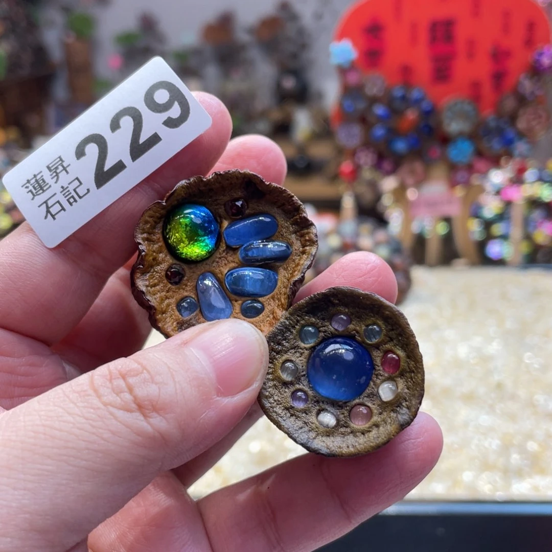 核桃木/黑胡桃（胡桃木）茗**主229