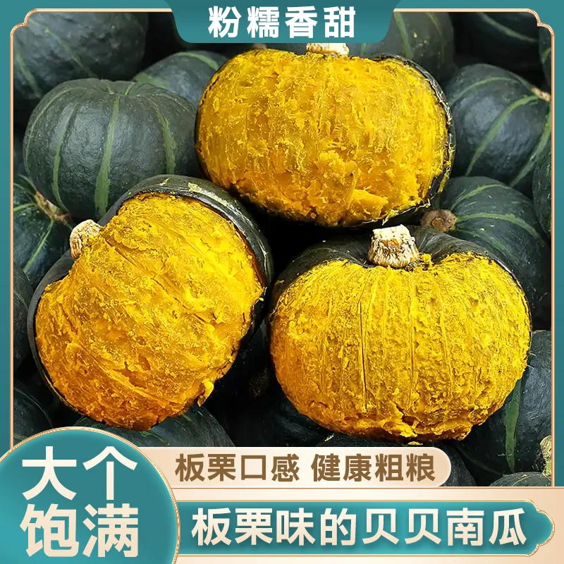 【正宗】板栗味贝贝南瓜粉糯香甜板栗味孕辅食代餐现摘现发整箱包邮