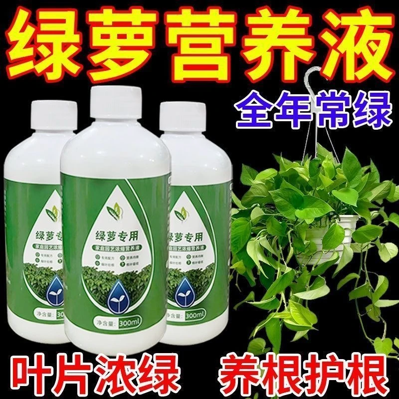 绿萝营养液通用型水养花植物水培绿萝营业液花肥料家用营养剂
