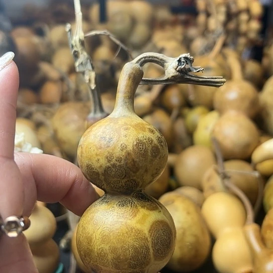 s***鹤葫芦葫芦葫芦葫芦