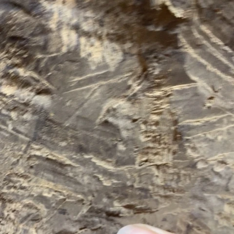 派***居把件贡木定制123568868