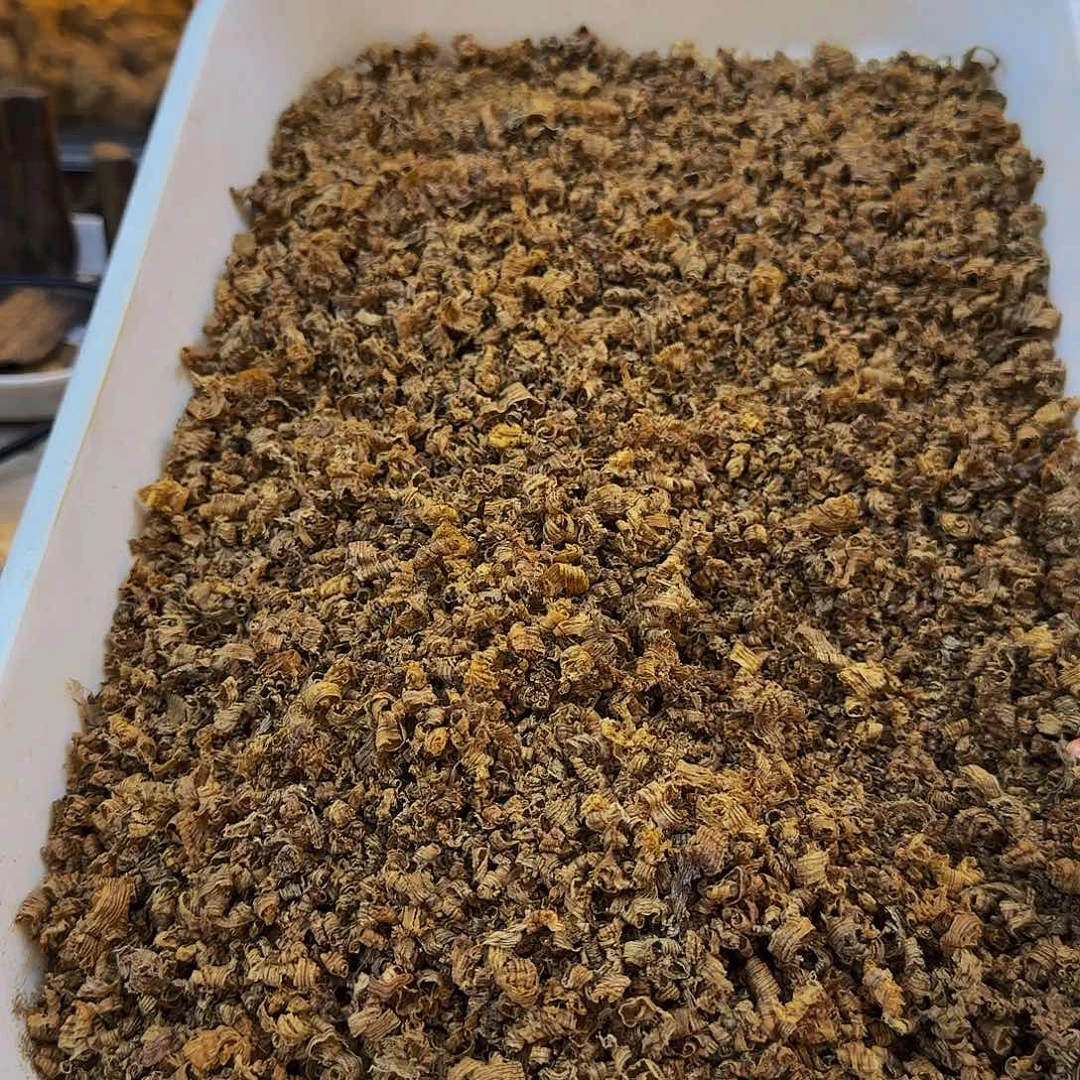 沉香沉香木制品海南野生黄棋勾丝10克多样性发其一