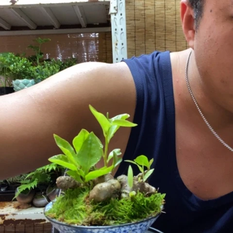 红陶骏***生一物一拍所见即所得49