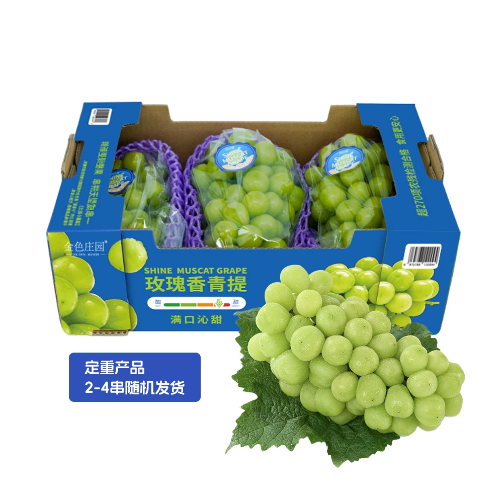 金色庄园 玫瑰香青提 2.5kg