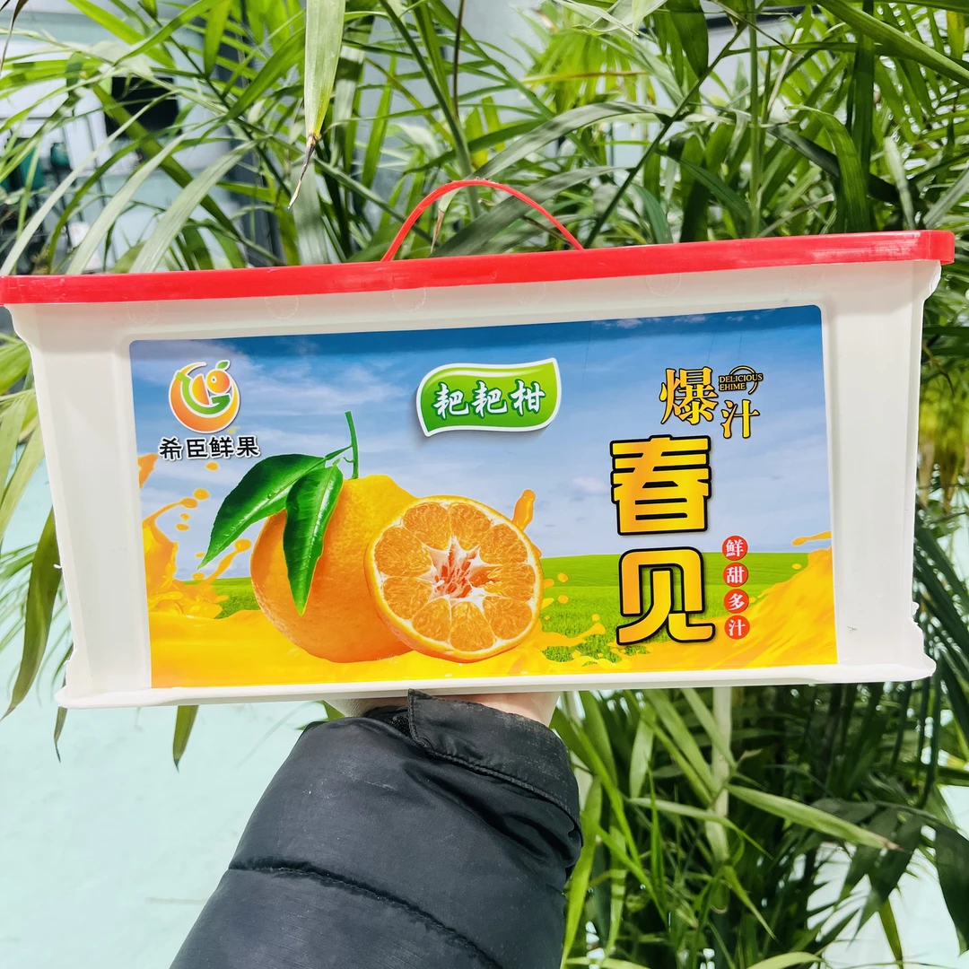 【一框】春见耙耙柑 爆浆香甜水分足 带框6斤左右 只发山西省内