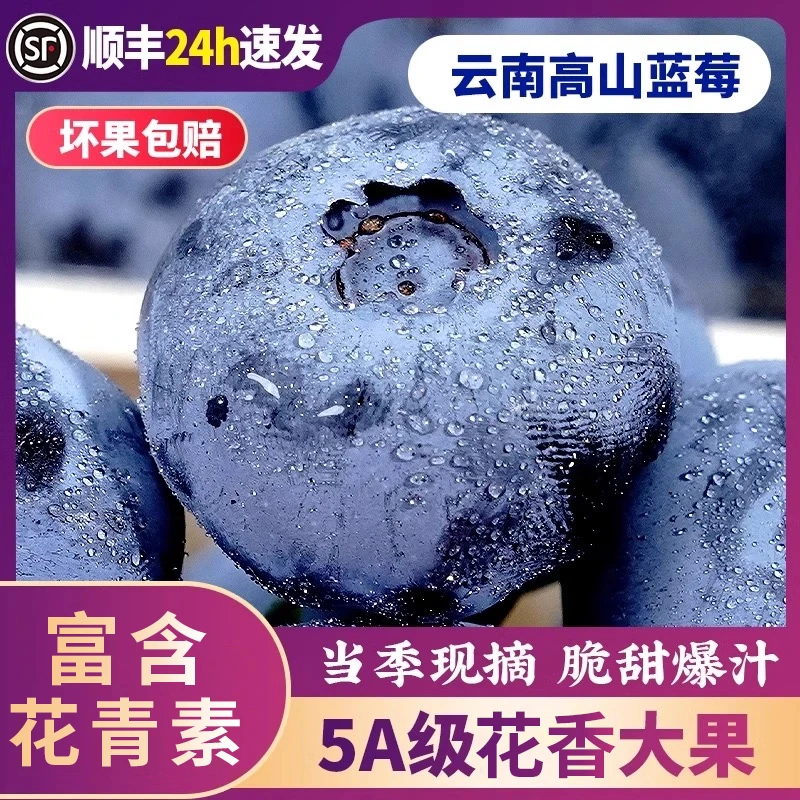 【买2盒送2盒】正宗云南M6脆甜高山蓝莓宝宝辅食孕妇新鲜蓝梅