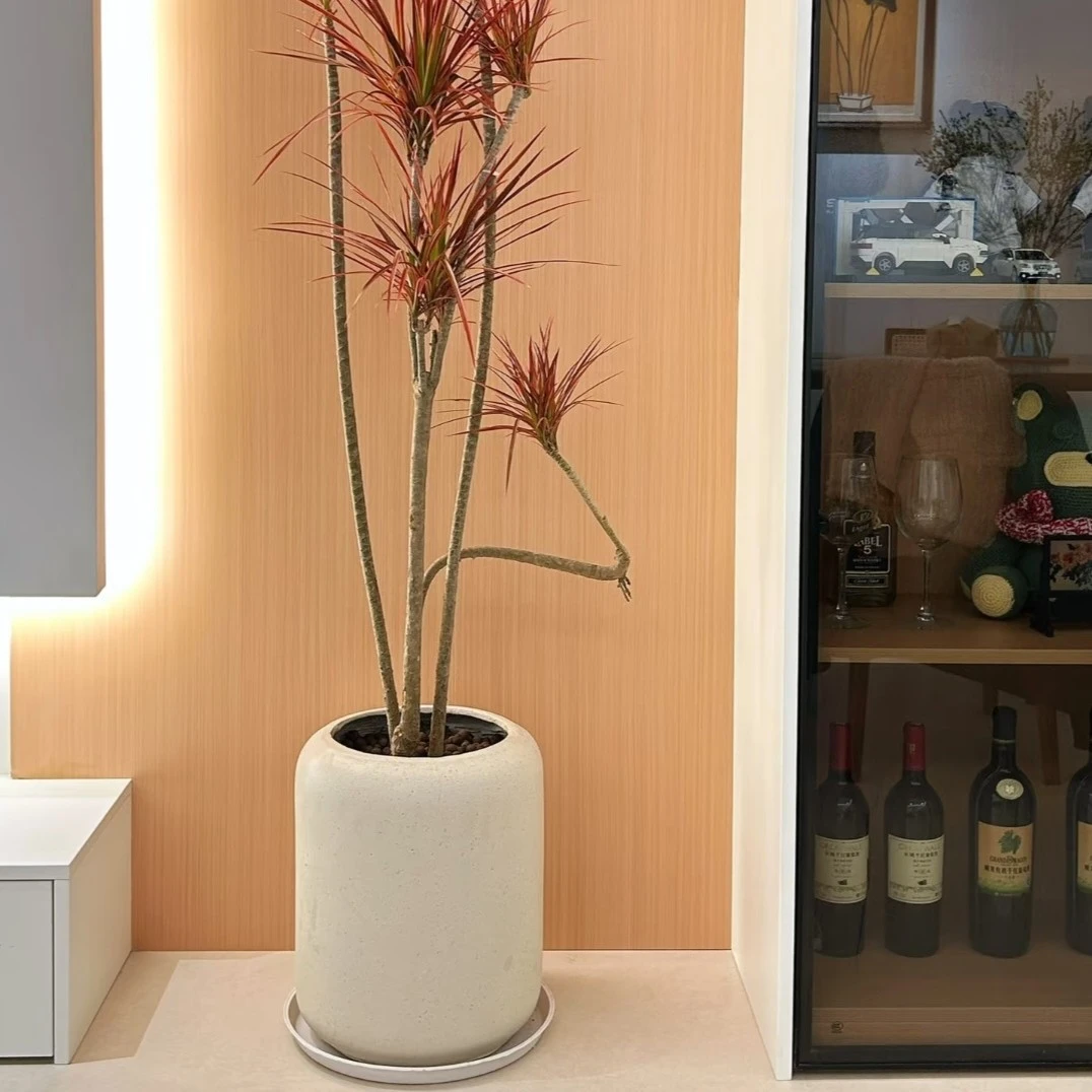网红环保镁泥花盆-圆柱系列大号超高