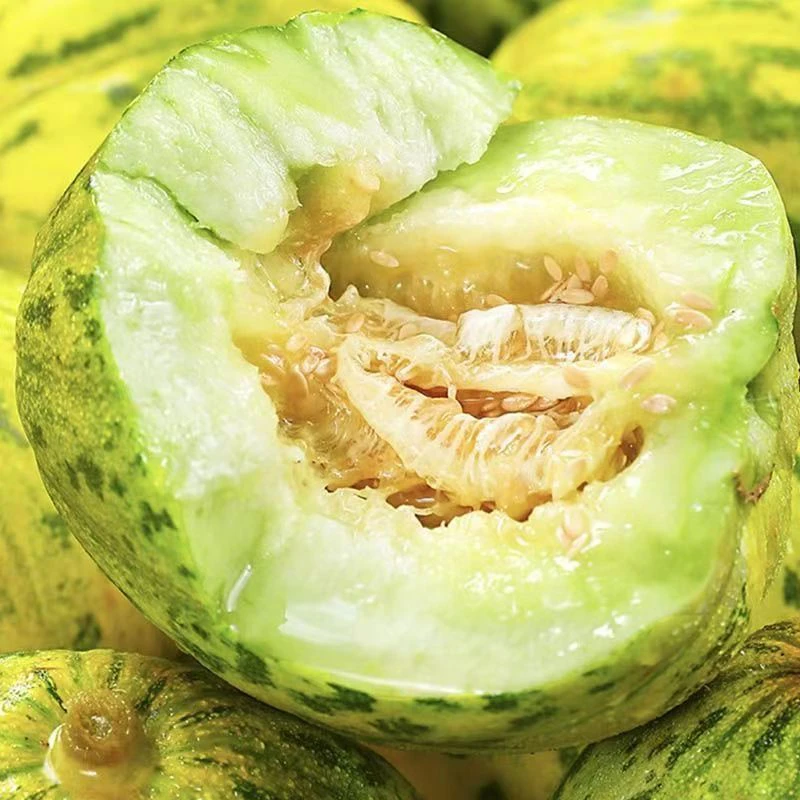 东北本地新开园八里香甜瓜脆甜多汁时令瓜类水果