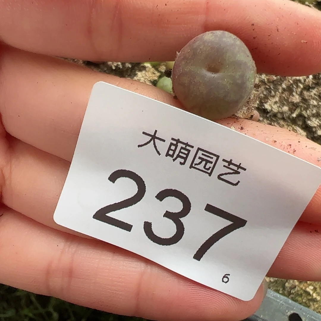 0000237 一物一拍……