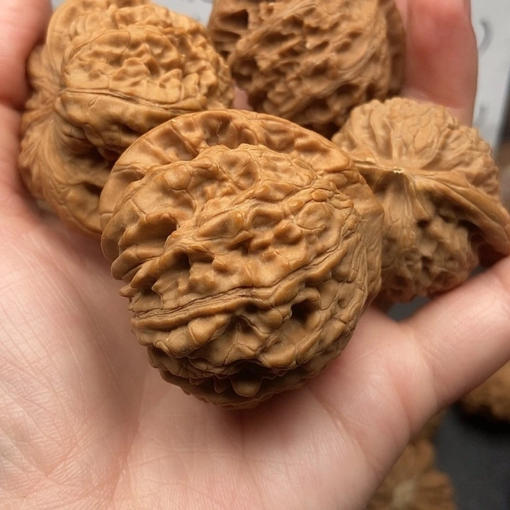 人***絮大大大大大大官帽宫灯黄