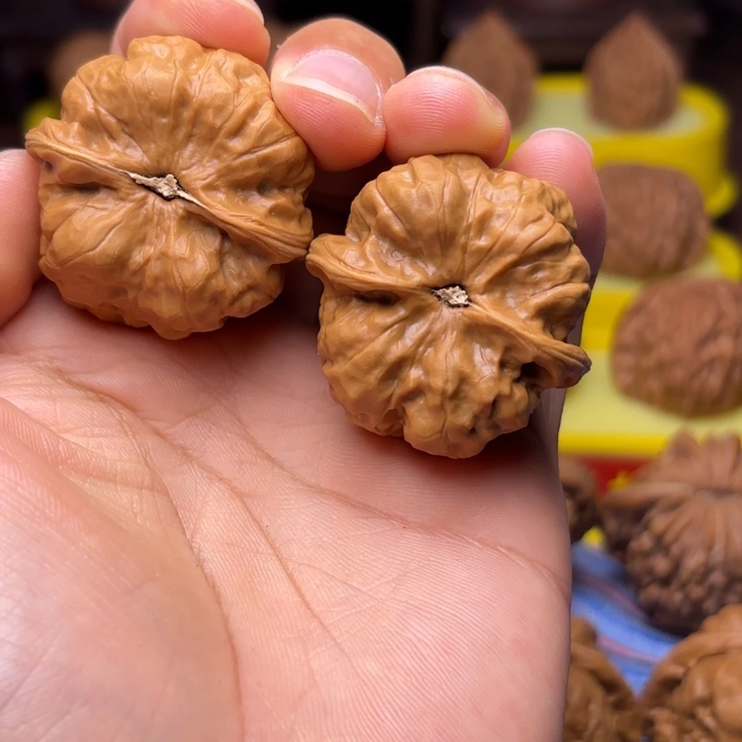 抽***士38尺蛤蟆头，骨质好手感