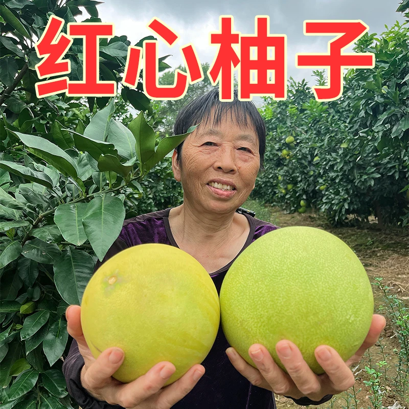 红心柚子红肉薄皮新鲜水果酸甜多汁果园直发荆州章庄铺源产地现发