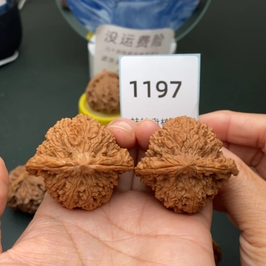 文玩核桃把件44满天星1197