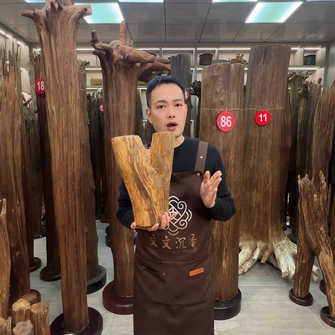 沉香沉香枕七七无理由