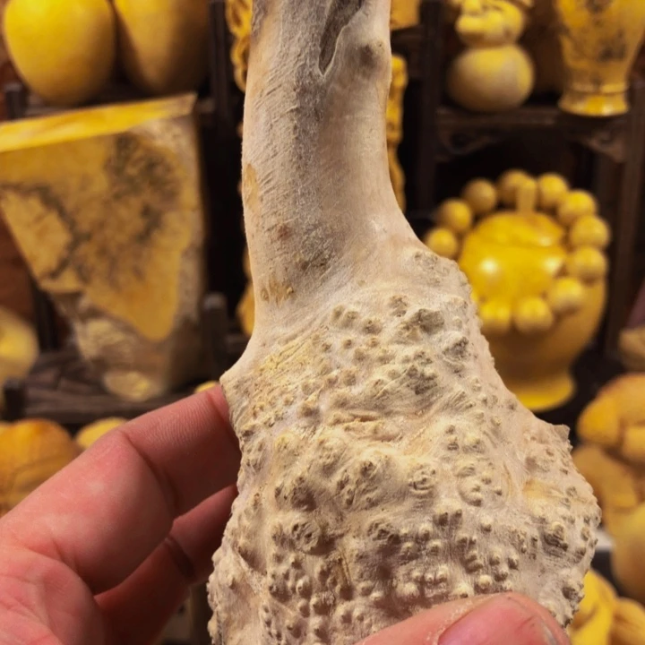 老***许木木料努力努力努力