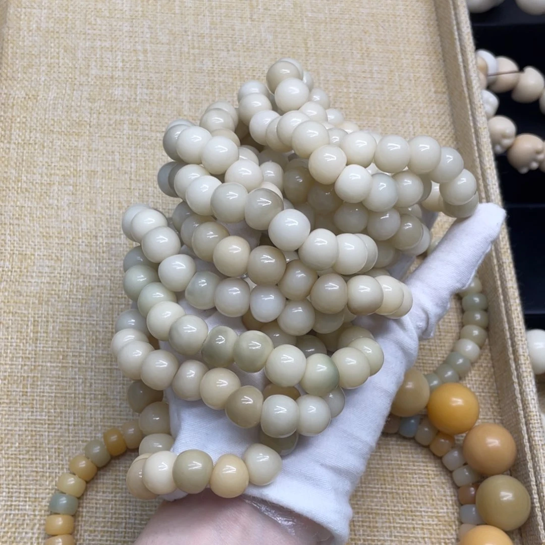 菩提根/象牙果吊坠12+精工肠福利一锅782