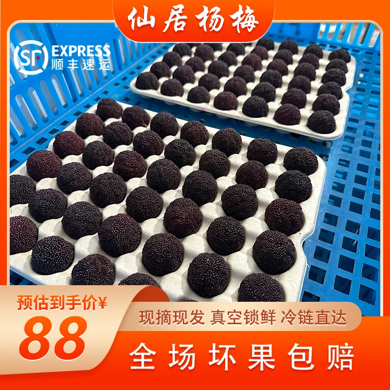 直播间【梅雨季尝鲜】84颗杨梅精致礼盒仙居新鲜荸荠种