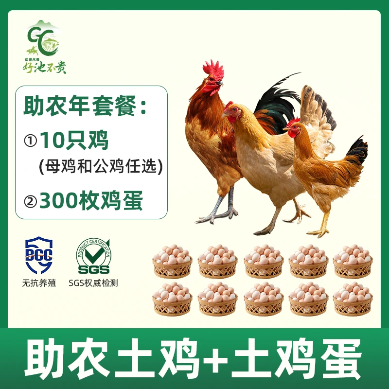 【助农年套餐】皖南散养土鸡童子鸡老母鸡蛋新鲜适合孕妇儿童