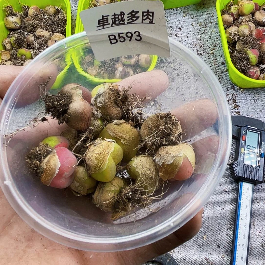 颜***~混毛一物一拍…………..