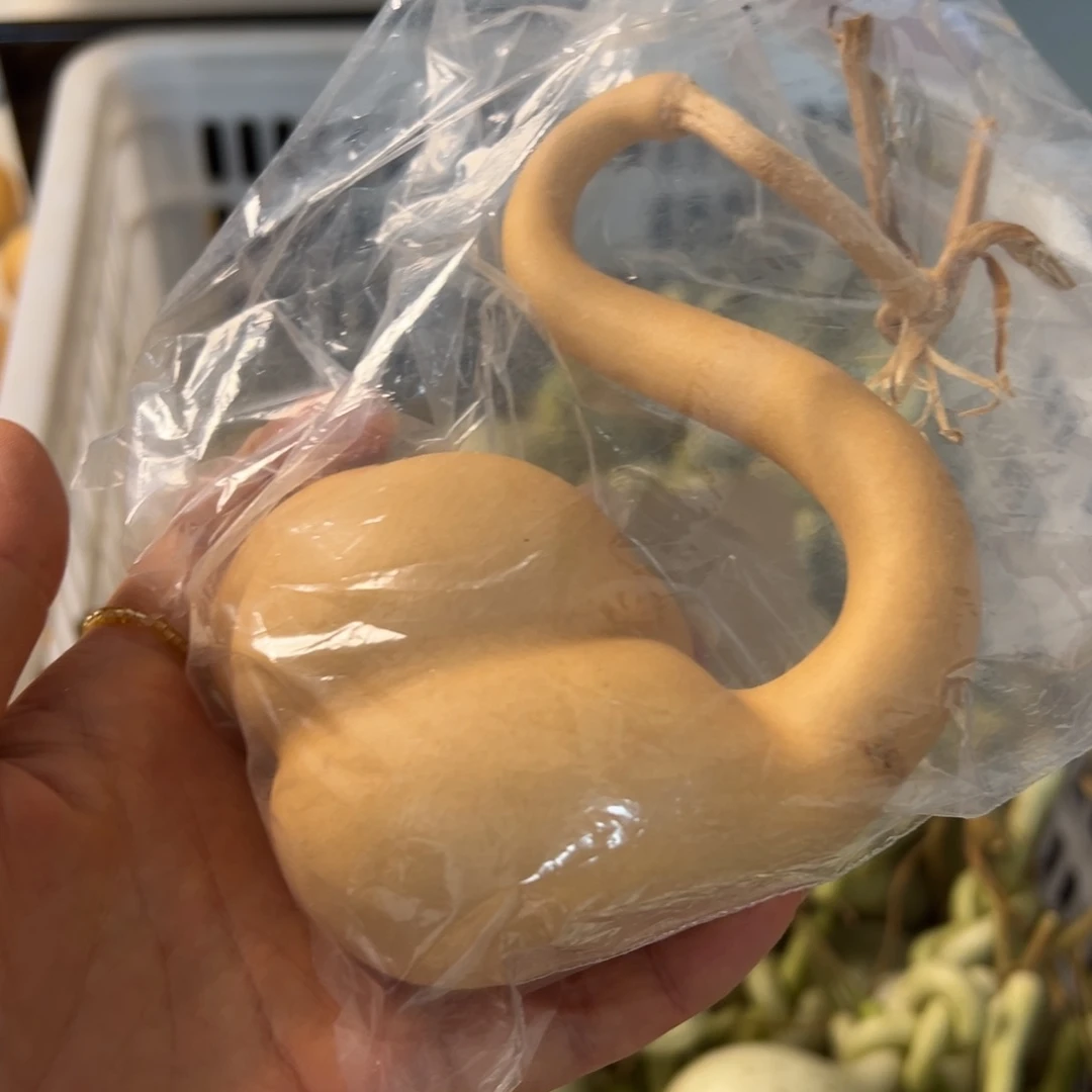 凤*飞一物一拍一物一拍