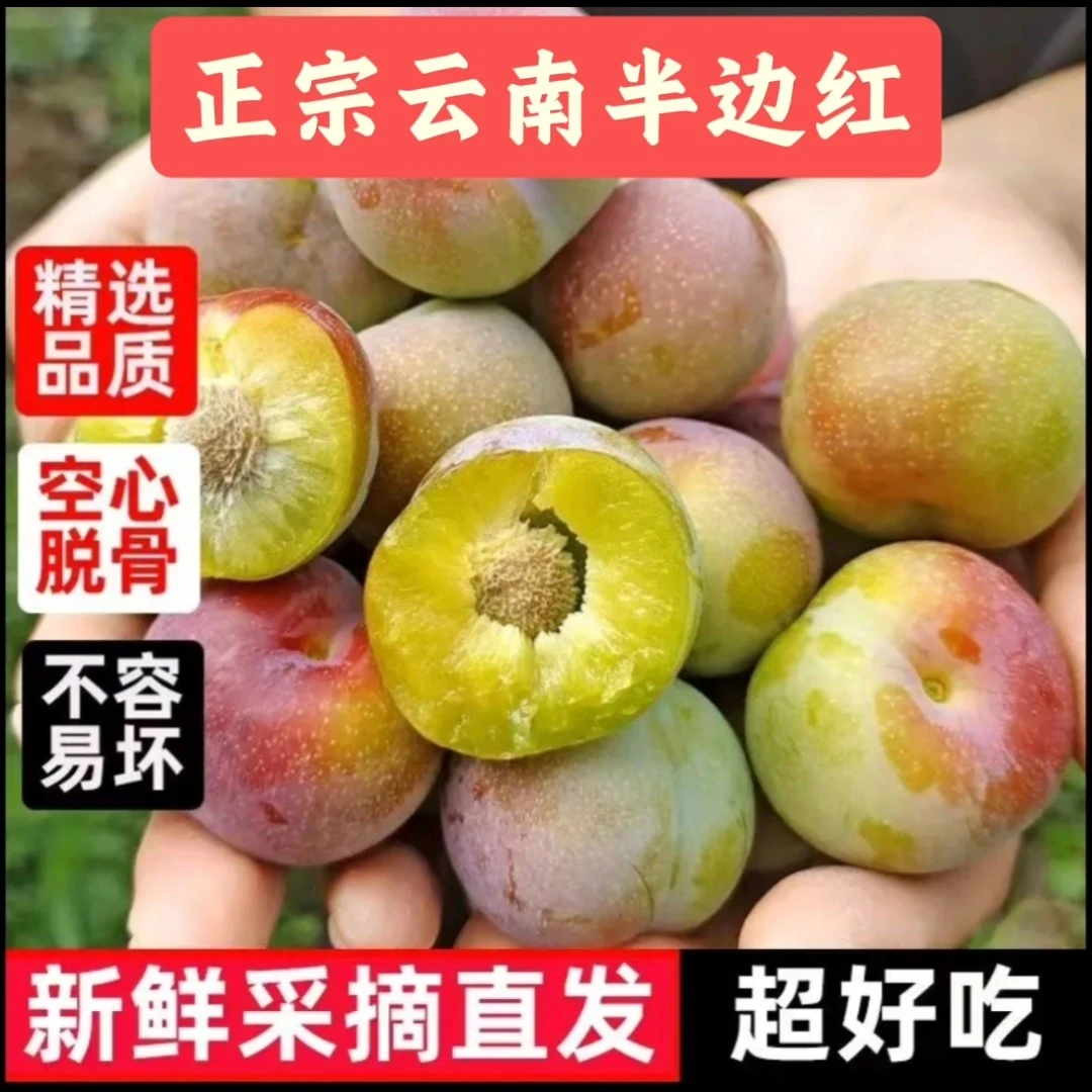 云南绥江正宗脱骨半边红李子新鲜现摘脆甜多汁应季水果