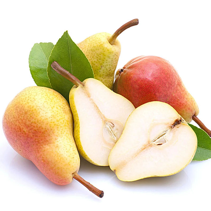 【小乐优选】智利 彩啤梨  一箱10个3斤左右 新鲜食用  甜软 味道好