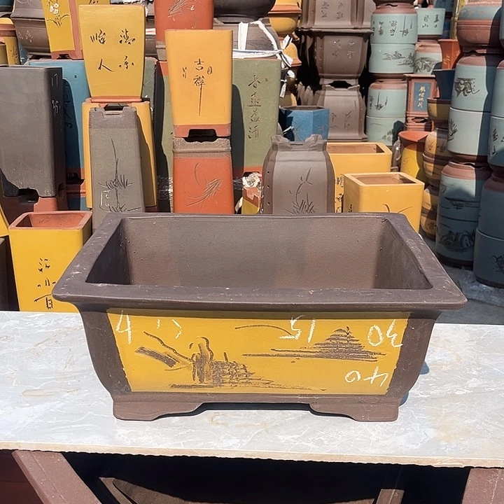 紫砂紫砂花盆盆栽